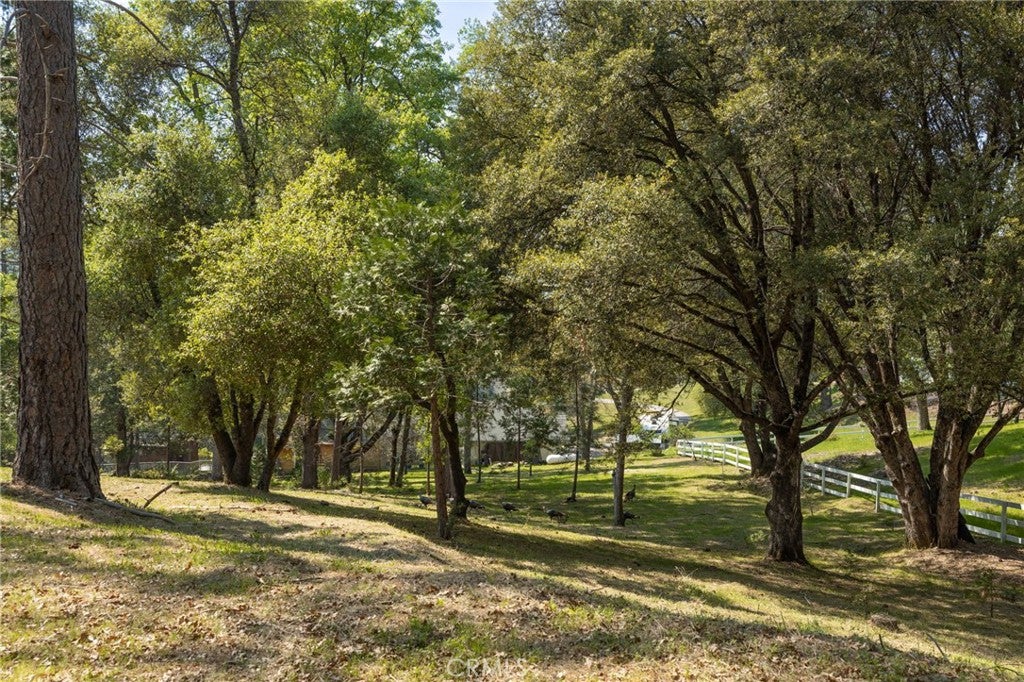 1 Oak Lane
