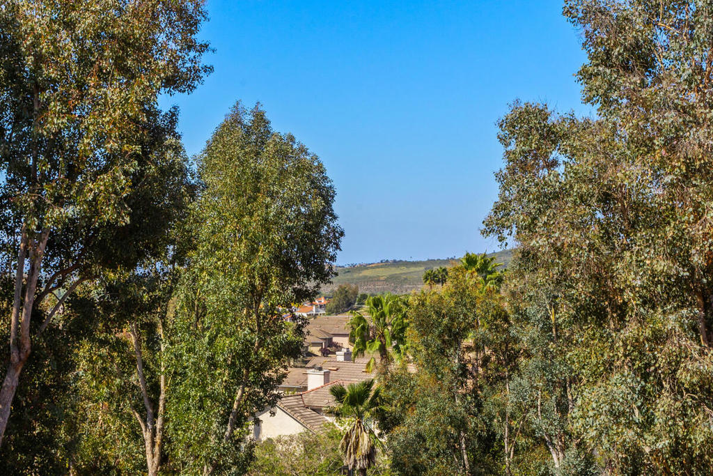 32036 Del Cielo Oeste 3b