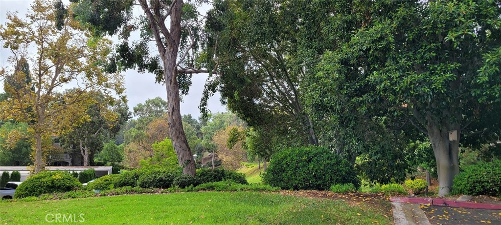 4009 calle sonora oeste 3A