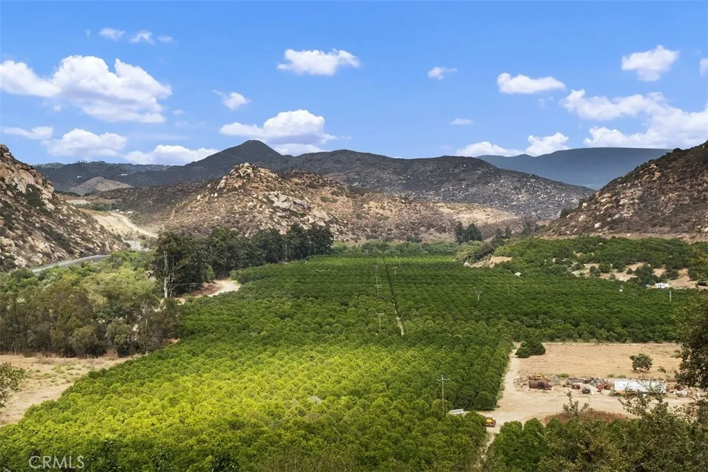 Fallbrook, California 92028, United States, 5 Bedrooms Bedrooms, ,3 BathroomsBathrooms,Residential,Active,213249