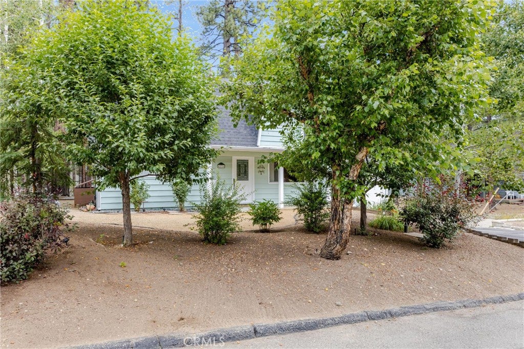 42716 Juniper