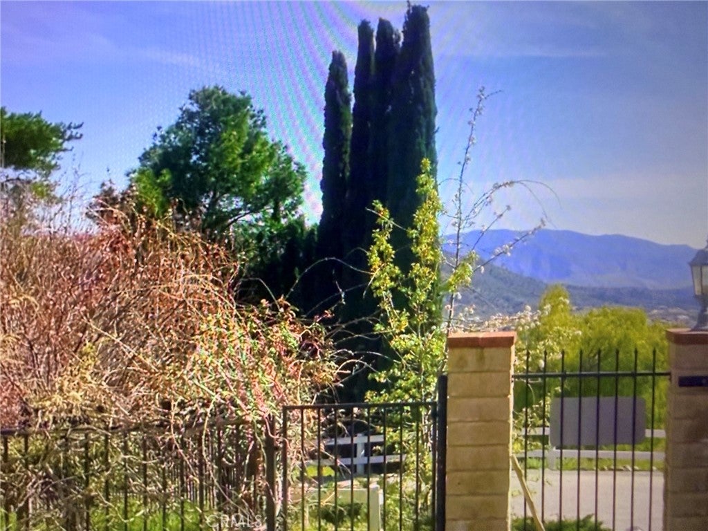 9557 1/2 Hierba