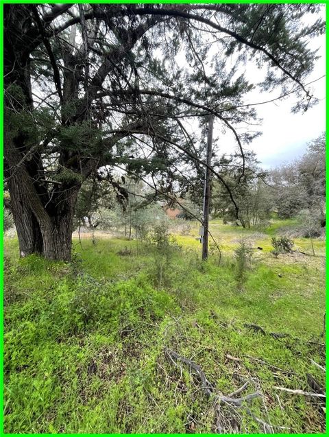 Photo of 13672 Fair Oak Road, Clearlake, CA 95424 (MLS # PW25278444)