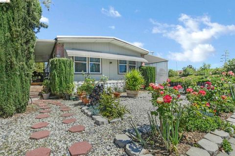 Photo of 273 Luau Dr, Pittsburg, CA 94565 (MLS # 41132241)