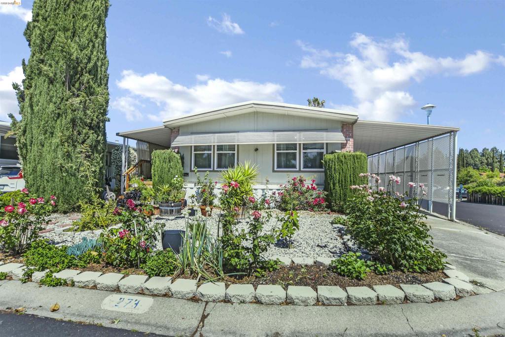 273 Luau Dr