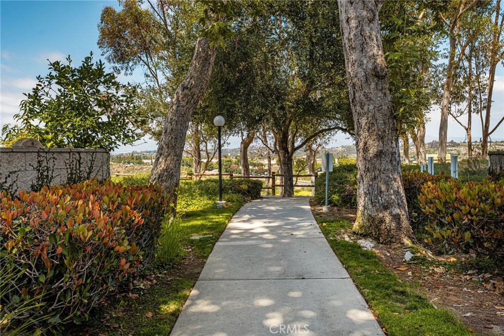 118 Matisse, Aliso Viejo CA 92656 - Photo 46