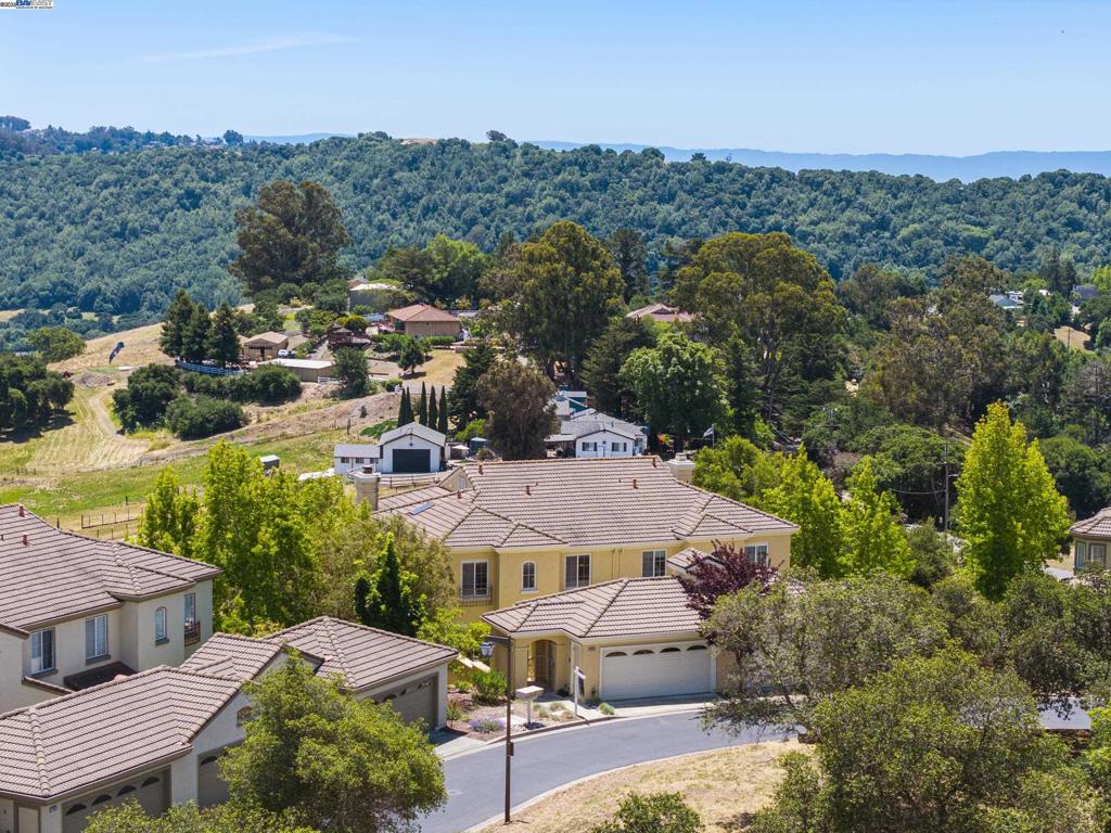 Gorgeous Updates & Views in Prestigious Palomares Hills! Enjoy the comfort and privacy of a single-family home feel in this spacious townhome. This home features brand-new bright quartz kitchen countertops and backsplash, freshly painted cabinetry, new interior paint, and sleek new waterproof wood flooring. The versatile floor plan includes a convenient downstairs bed and full bath—perfect for guests or multi-gen living—as well as a large storage closet that can be transformed into your own personal wine cellar. With 2,379 square feet of thoughtfully designed living space, this home showcases some of the most spectacular canyon and partial bay views in the neighborhood. Freshly painted and featuring a newer fence, this move-in-ready home offers modern comforts like air conditioning, ceiling fans, and central heating. Upstairs, enjoy three additional bedrooms, including a spacious primary suite with double closets. Residents are treated to resort-style amenities including multiple swimming pools, tennis, basketball, and pickleball courts, scenic walking trails, a community park, private security patrol, and more. Located within the award-winning Castro Valley School District and offering easy access to shopping and major freeways, this home blends style, comfort, and convenience!