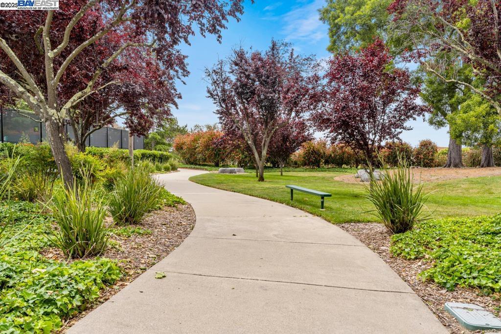 PALOMARES HILLS - Residential