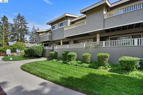 Photo of 1163 Cherryview Ln Ln, San Jose, CA 95118 (MLS # 41131628)