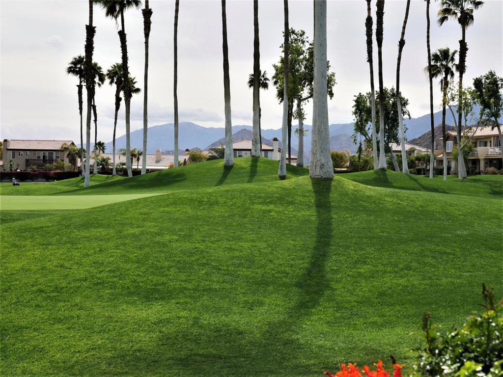 Palm Royale - Residential