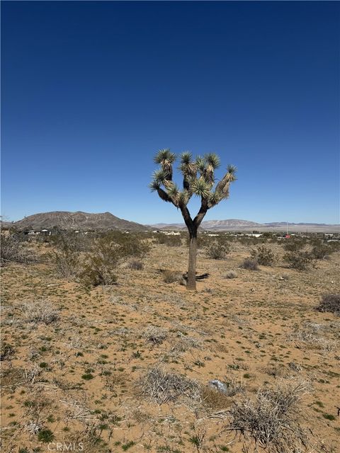 Photo of 575 N Covelo Avenue, Landers, CA 92285 (MLS # TR26080912)