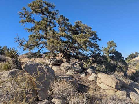 Photo of Lot 84 Mountain Park Road, Mountain Center, CA 92561 (MLS # 219150889PS)