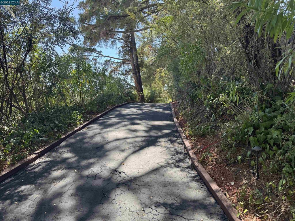 Tucked away in the beautiful tree filled hills of Lafayette. Blocks from everything. Downtown, restaurants, transportation, BART, freeway access, hiking trails, and top-rated schools. Set back off of the lane you have your own private driveway leading to your peaceful oasis. Very private with gorgeous filtered views. This very unique custom home feels more like a cabin in Tahoe than your typical Lafayette home. 3 bedrooms plus a 4th room that could be used as a bedroom, office, study, music room, or use your imagination. Beautifully refinished hardwood floors throughout. All new Marvin windows. Refrigerator, washer/dryer, and gardener included. Forced air conditioning and heating. Non smokers please. No pets please. Welcome Home!