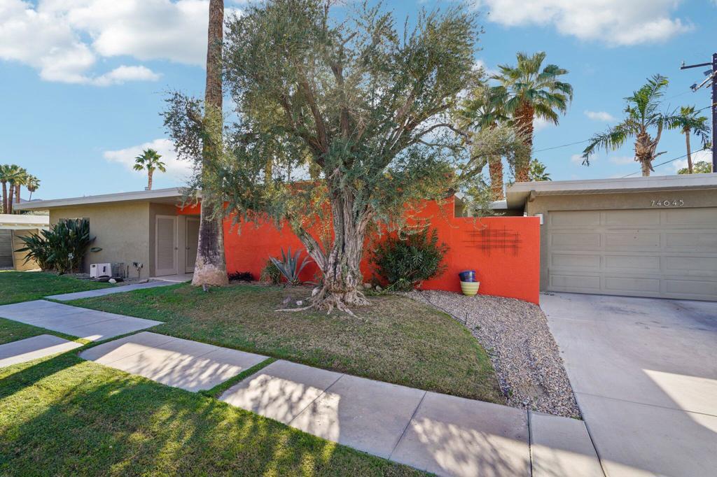 74645 Yucca Tree Drive