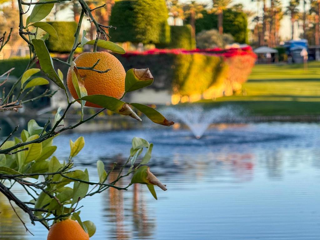 Outdoor Resorts CC - Residential