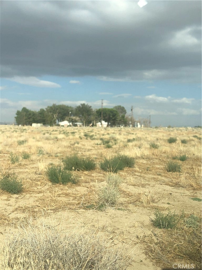 70 Antelope