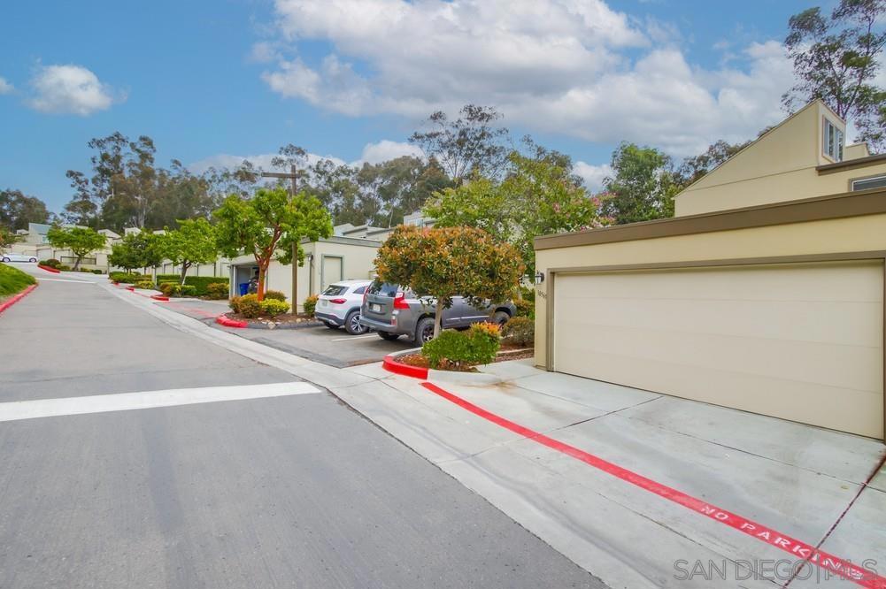 10565 Caminito Basswood