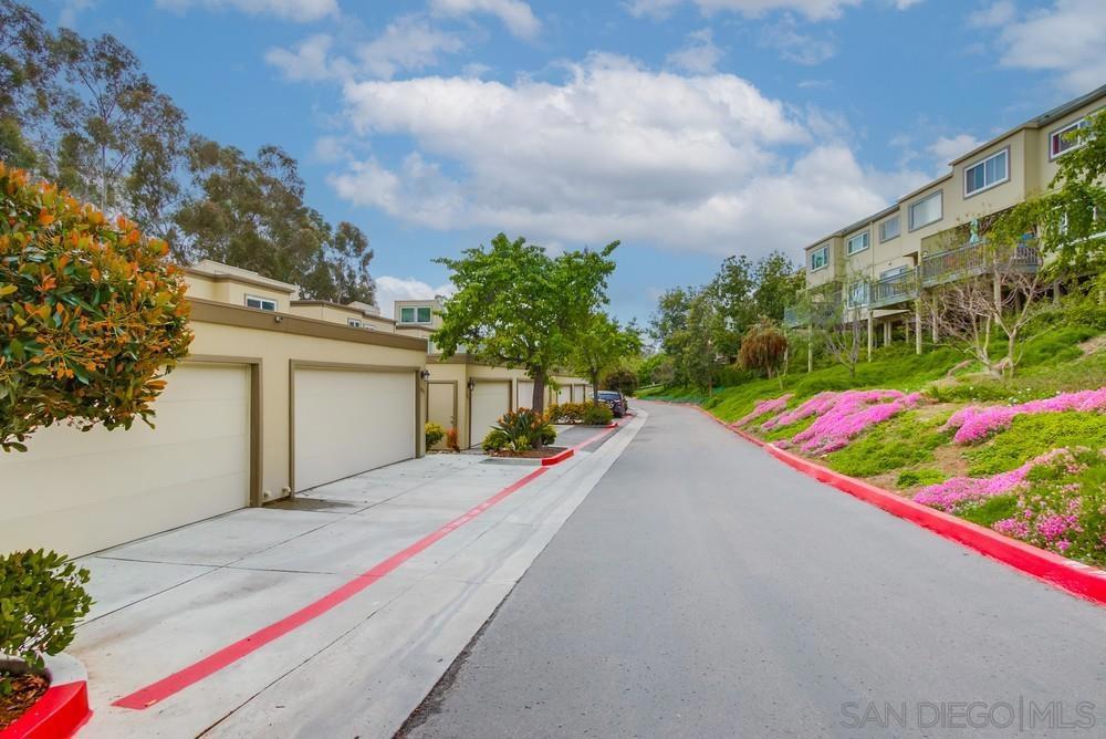 10565 Caminito Basswood