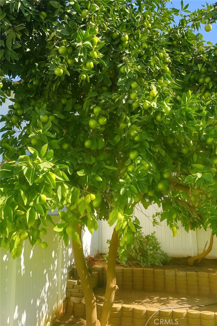 El Camino Glen (CH) - Residential