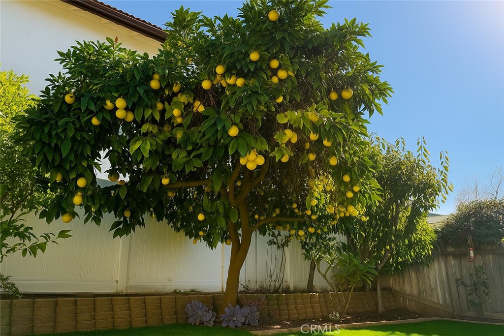 El Camino Glen (CH) - Residential