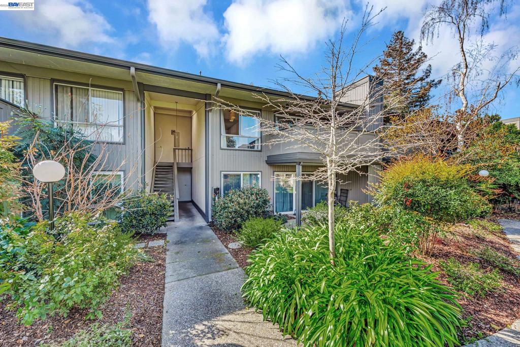 121 Buckingham Dr DR