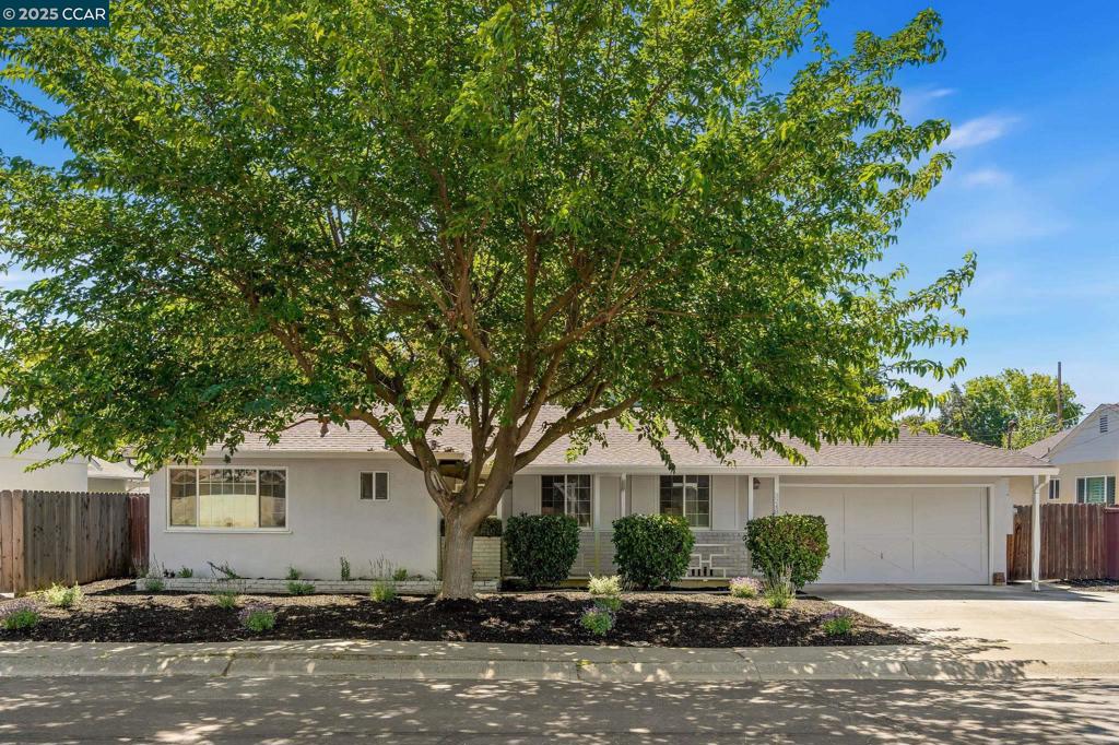Welcome to 3248 Reva Drive, located in the desirable Holbrook Heights neighborhood. This inviting single-level ranch-style home offers 3 bedrooms, 2 bathrooms, fresh interior paint and new carpeting in two bedrooms. The updated kitchen features quartz countertops, stainless steel appliances, a gas range perfect for home cooking, and modern white cabinetry. The light-filled living room features French doors that open to a spacious patio—ideal for outdoor living and entertaining. Enjoy the convenience of being close to local schools, parks, shopping, and BART. As part of the Holbrook Heights HOA, residents have access to a community pool, clubhouse, and BBQ area. HOA dues are $205 semi-annually.