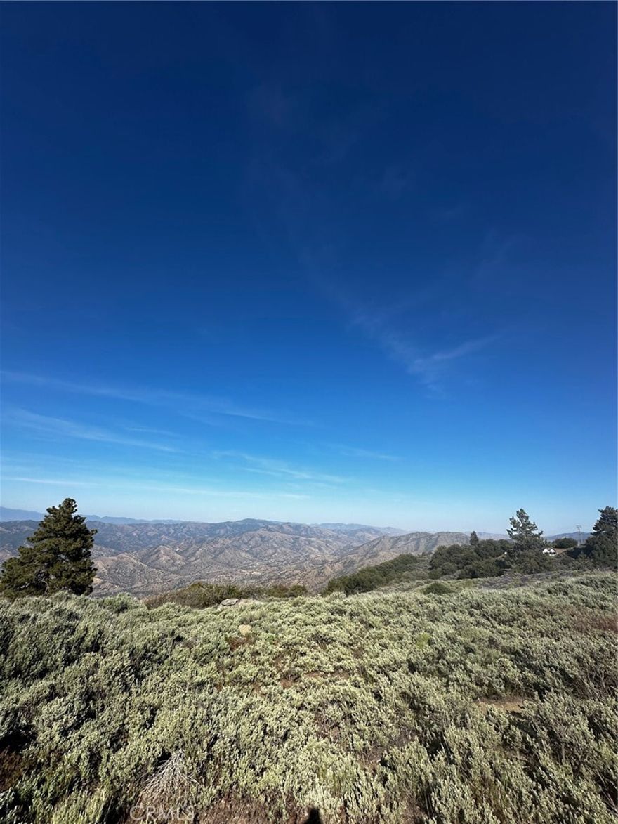 Come see the beautiful serene views this property has to offer! Plenty of space to build your dream home on top of a beautiful Bear Valley mountain and enjoy all the wonderful amenities that Bear Valley has to offer!