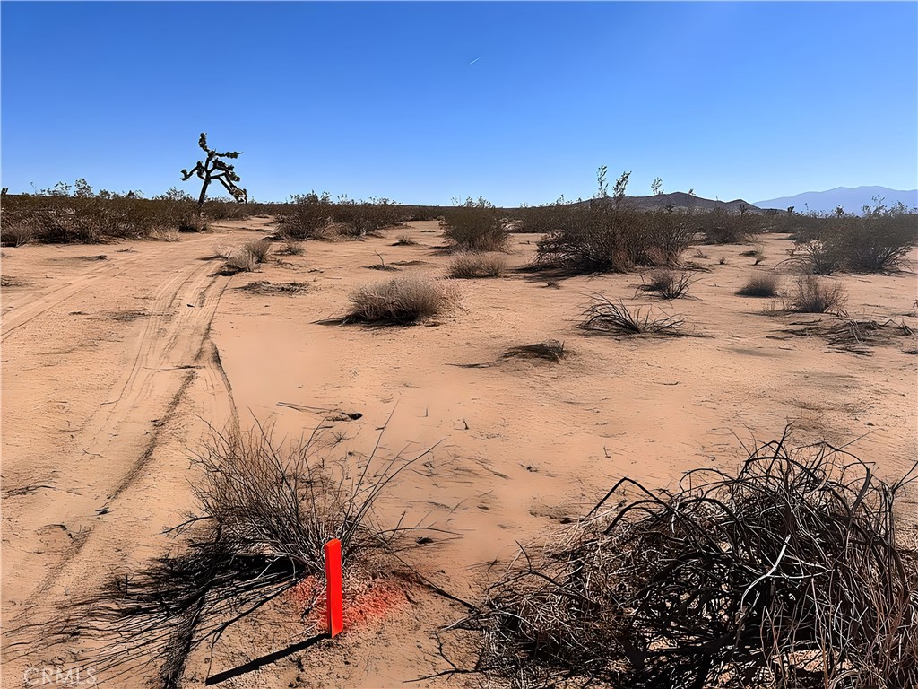 10 VAC/VIC AVE F12/155 STE