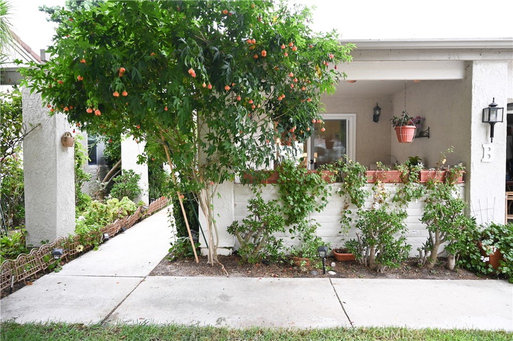 3296 San Amadeo
