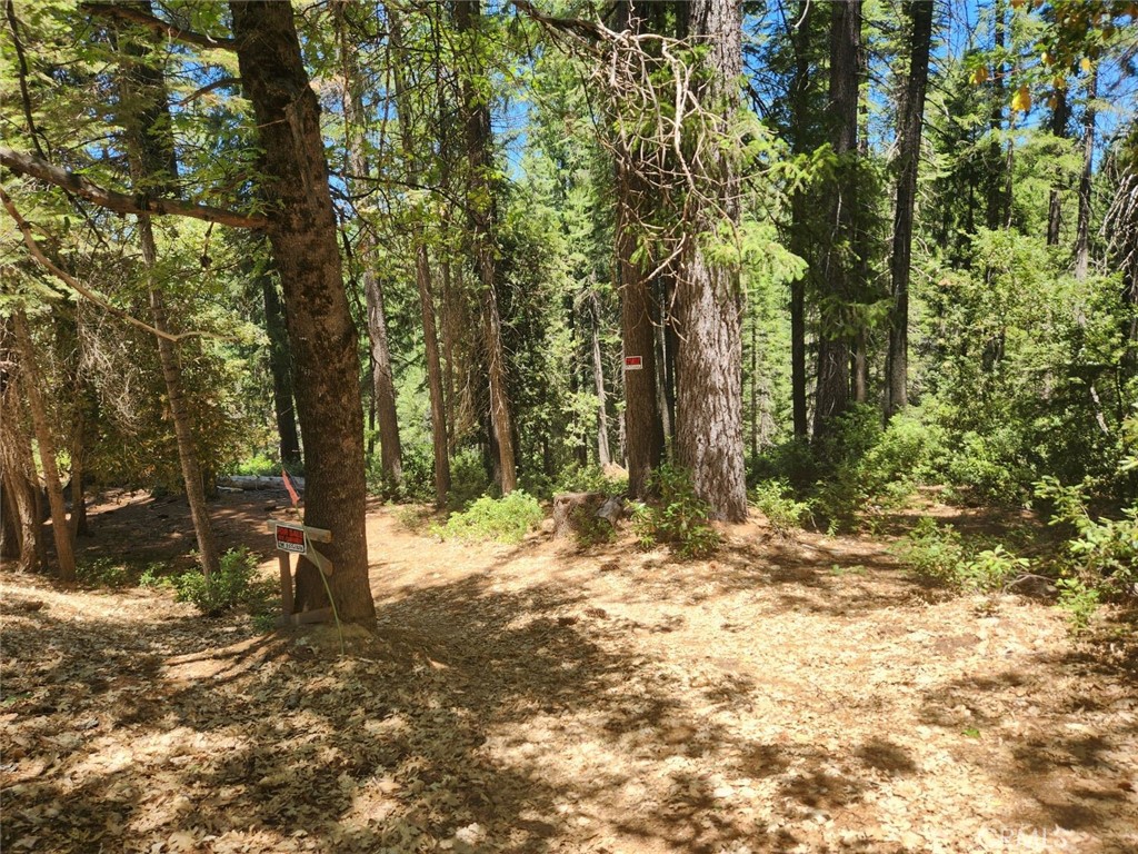 Wraparound woods! Enjoy your own pine tree playground at Merry Mountain Village, an attractive foothills enclave near year round recreation destinations with community water, street maintenance and security. There are also swimming pools, picnic/barbeque sites, a toboggan run and open space areas. Sly Creek Reservoir, Little Grass Valley Lake and Lake Oroville are nearby and shopping, services and conveniences are in the vicinity. This pleasantly wooded .60 acre lot bordered by Grizzly Creek is one of the larger parcels in the development and is located at the end of a peaceful, paved cul de sac offering privacy and seclusion. Further clearing is needed but power is at street frontage and on neighboring properties so there's not much to do but make plans for your full time retreat or vacation getaway. Surrounded by majestic foliage, you'll appreciate the tasteful ambience, refreshing energy and pride of ownership in this wonderful custom home environment. Experience a naturally green lifestyle of sheltered serenity and tranquility nestled in your personal mini forest.