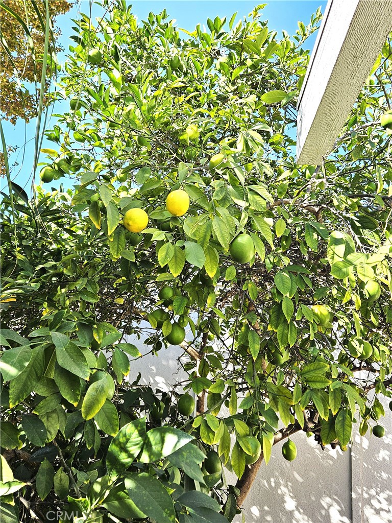 Leisure World (LW) - Residential Lease