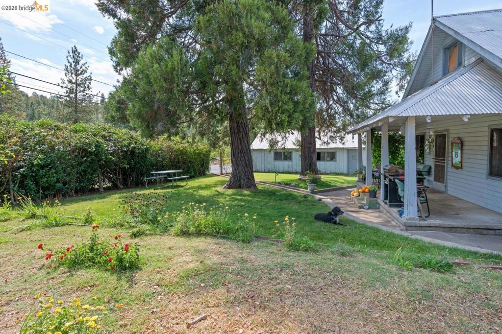 17560 State Highway 120