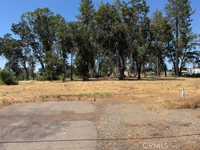 5952 Almond