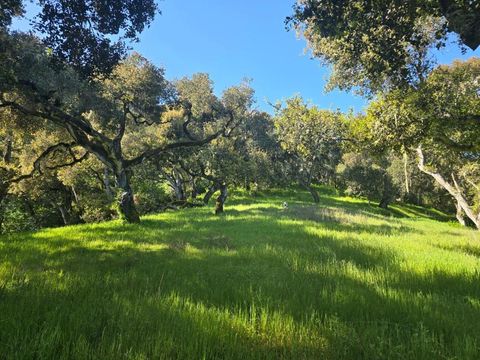 16 SLEEPY HOLLOW DRIVE Carmel Valley CA 93924