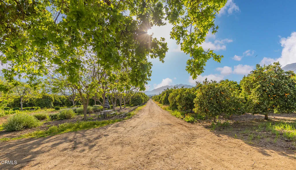 Ojai, California 93023, United States, 10 Bedrooms Bedrooms, ,8 BathroomsBathrooms,Residential,Active,186808