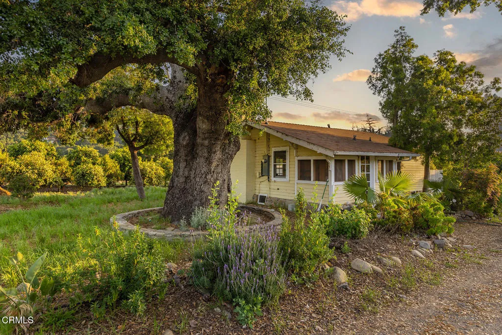 Ojai, California 93023, United States, 10 Bedrooms Bedrooms, ,8 BathroomsBathrooms,Residential,Active,186808