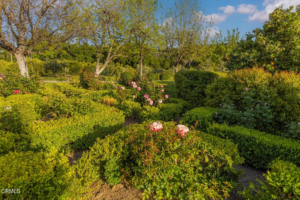 Ojai, California 93023, United States, 10 Bedrooms Bedrooms, ,8 BathroomsBathrooms,Residential,Active,186808