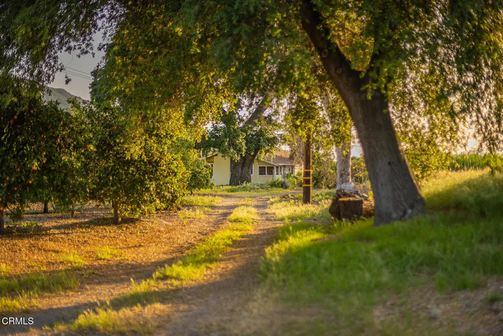 Ojai, California 93023, United States, 10 Bedrooms Bedrooms, ,8 BathroomsBathrooms,Residential,Active,186808