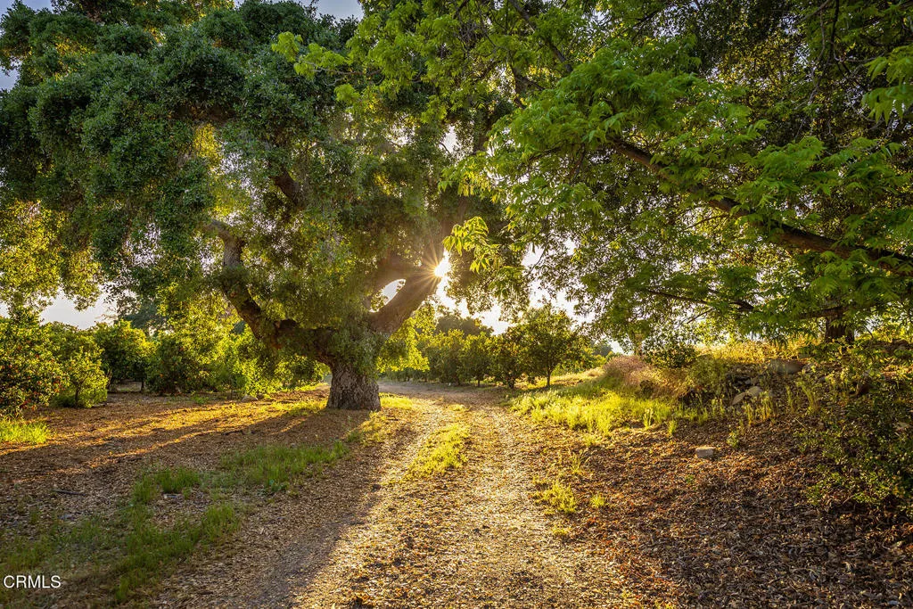 Ojai, California 93023, United States, 10 Bedrooms Bedrooms, ,8 BathroomsBathrooms,Residential,Active,186808