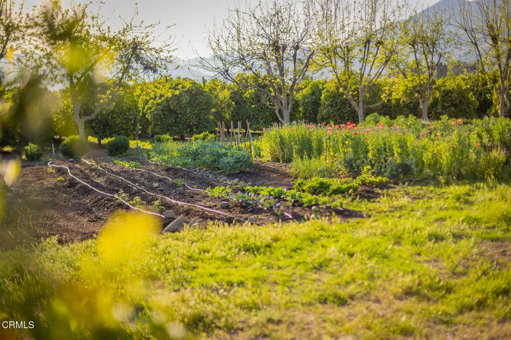 Ojai, California 93023, United States, 10 Bedrooms Bedrooms, ,8 BathroomsBathrooms,Residential,Active,186808