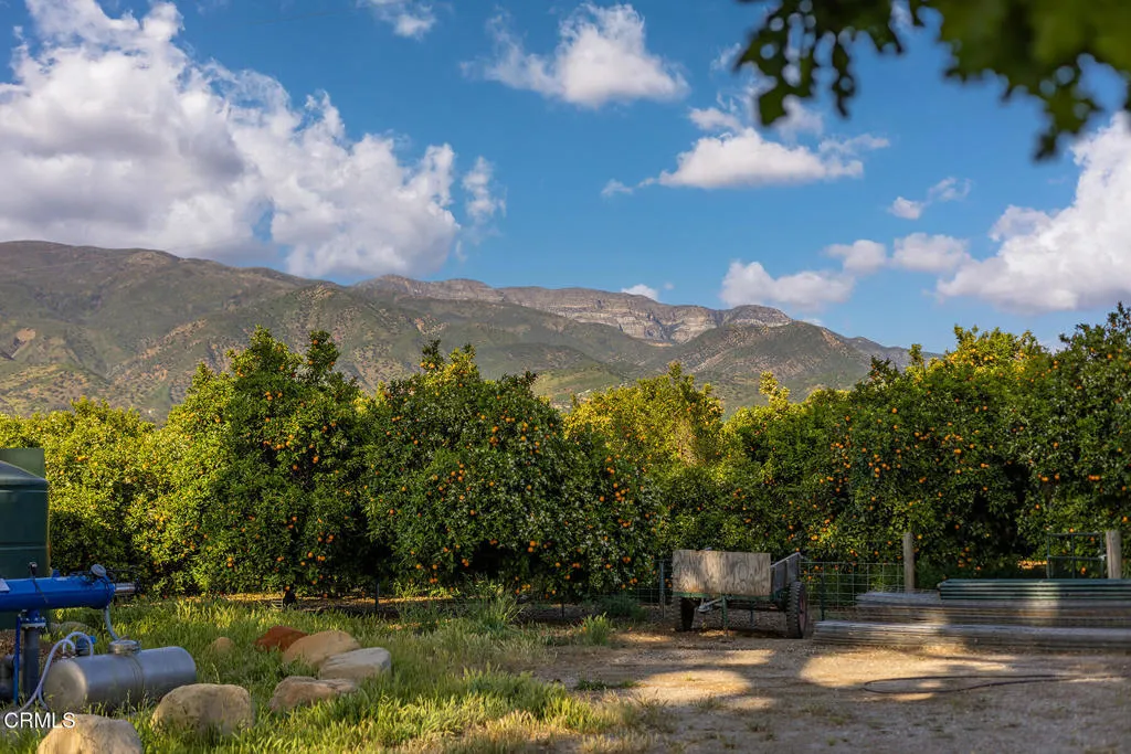 Ojai, California 93023, United States, 10 Bedrooms Bedrooms, ,8 BathroomsBathrooms,Residential,Active,186808