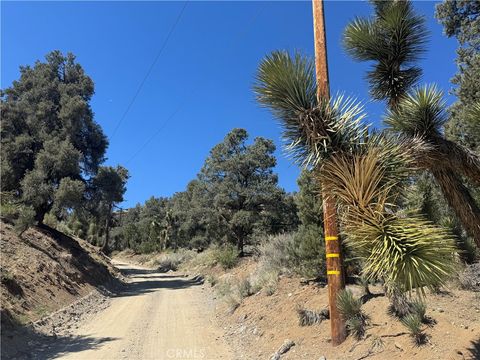 Photo of 41112 Jack Rabbit Road, Pinon Hills, CA 92372 (MLS # HD25087436)