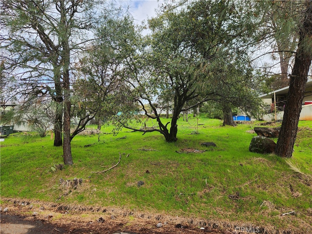 582 Silver Leaf Dr.