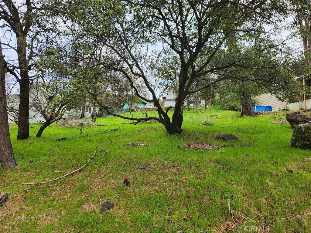 582 Silver Leaf Dr.