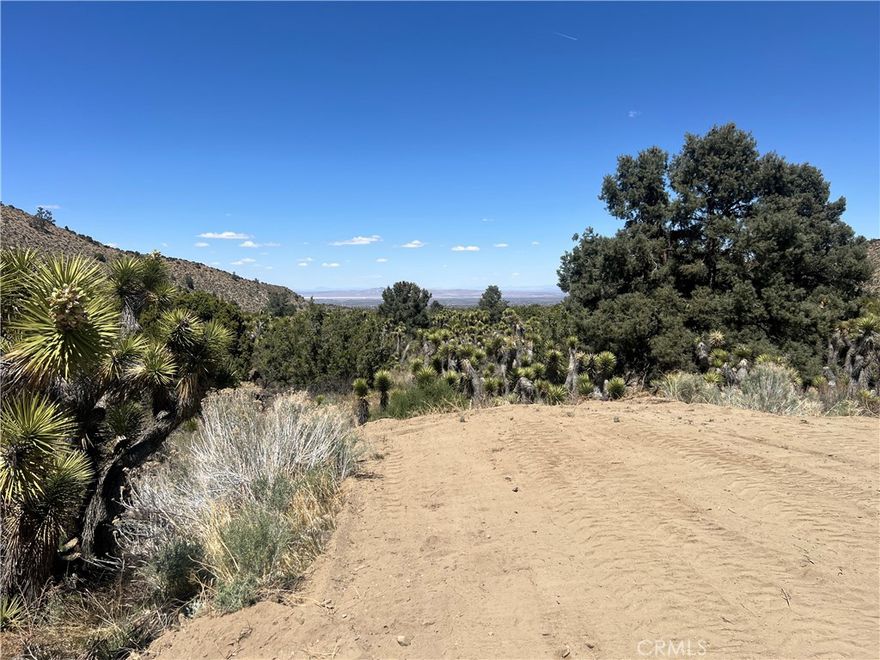 Vacant Land 28.5 Acres Wrightwood/Wild Horse Canyon Area

Located in a highly desirable area just minutes from the town of Wrightwood and Mountain High Ski Resort, this stunning 28.5 Acre parcel offers breathtaking views and backs up to National Forrest as well as a protected Nature Preserve. Its the perfect spot to build your Dream Home or Ranch.  

Nice homes in the area with Utilities near by.