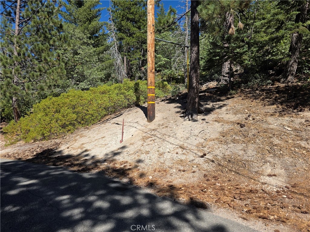 2419 Pine Drive