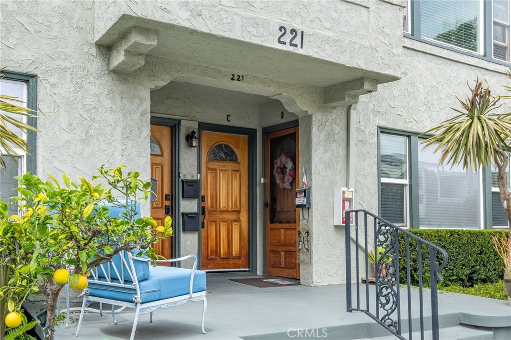 221 Belmont