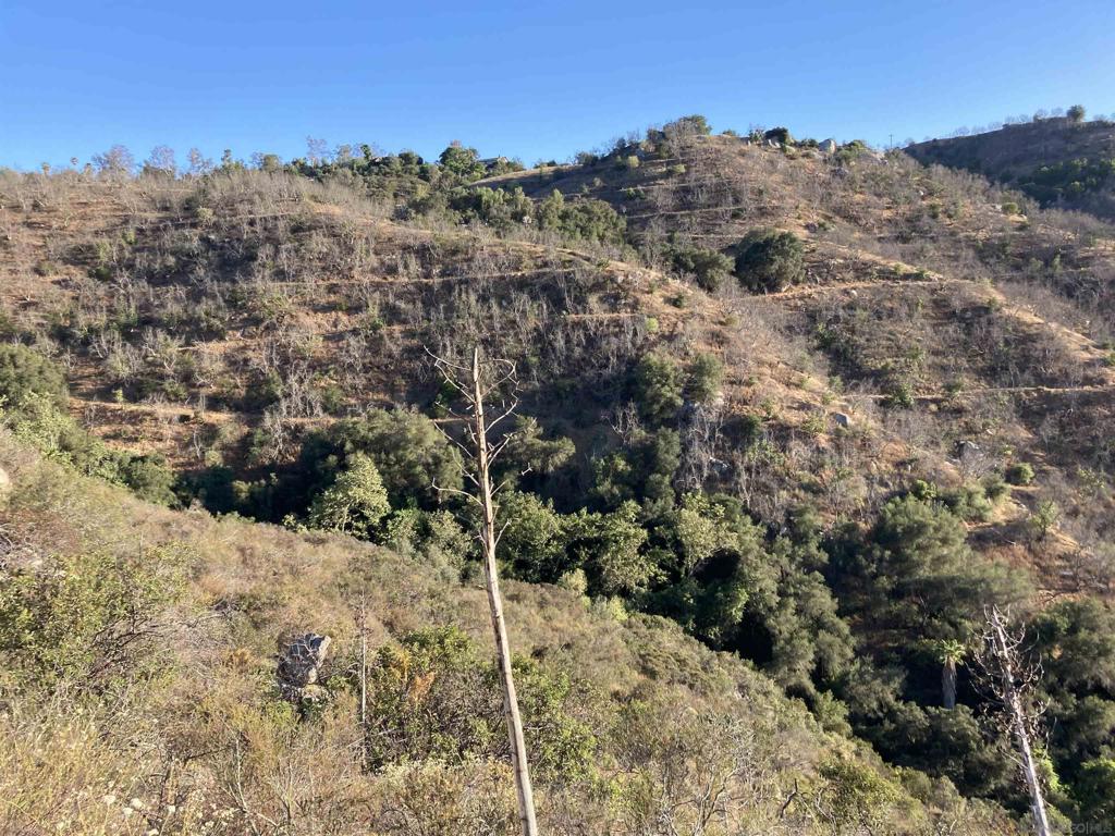 13701 Pauma Vista Dr