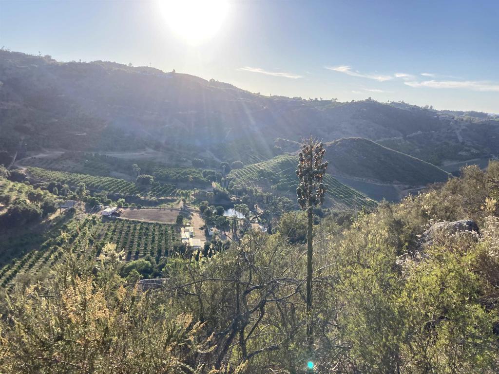 Pauma Valley - Land