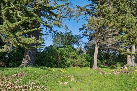 Tiny photo for 38 Wilshire Avenue, Daly City, CA 94015 (MLS # ML82037613)